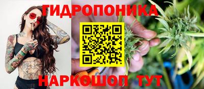 прущий лед Вышний Волочёк