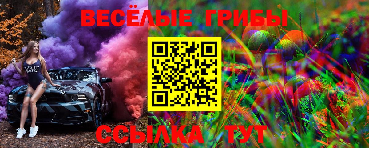 Псилоцибиновые грибы MAGIC MUSHROOMS Вышний Волочёк
